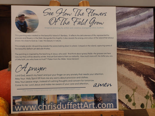 See How The Flowers Of The Field Grow