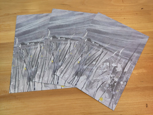 Postcards: Grey Misty Sunday Morning on Enlli