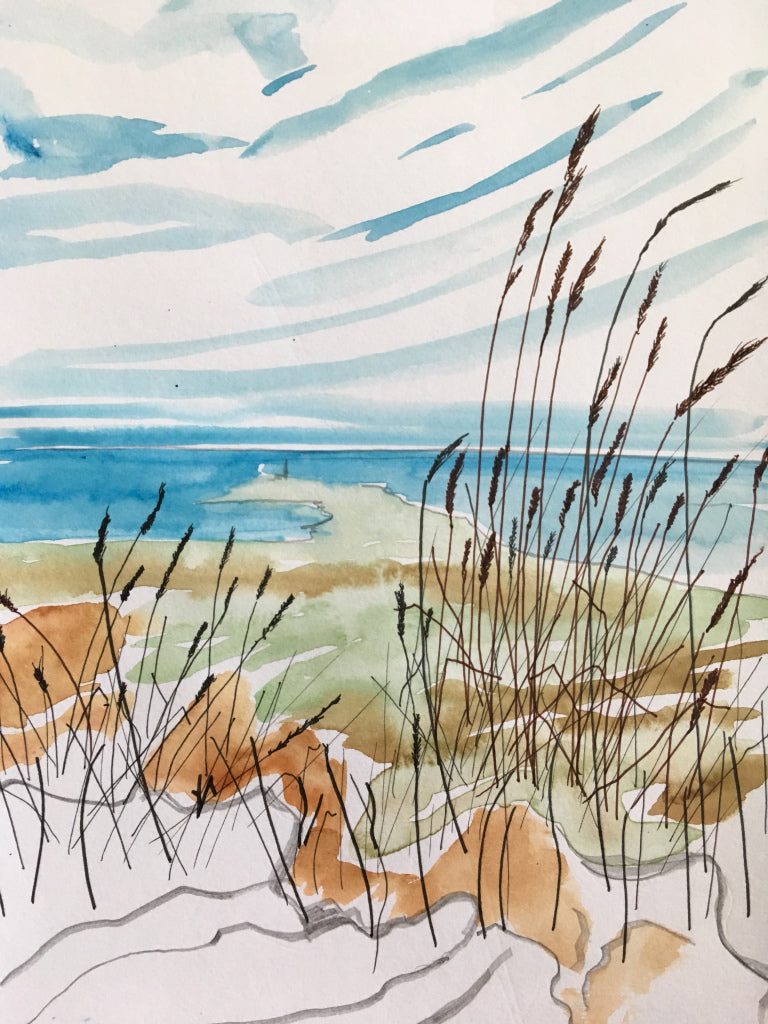 Sketchbook work, a study on grasses!