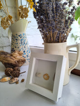NEW- nature finds. Framed bits and bobs I find as I walk and pray.