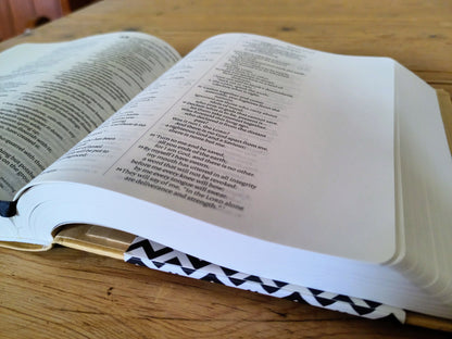 Journalling Bible