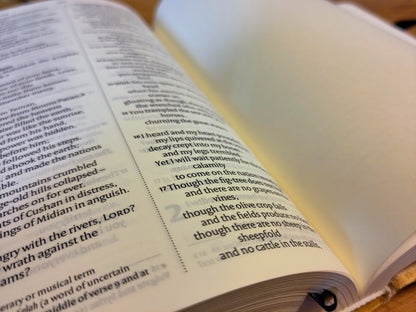 Journalling Bible
