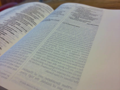 Journalling Bible