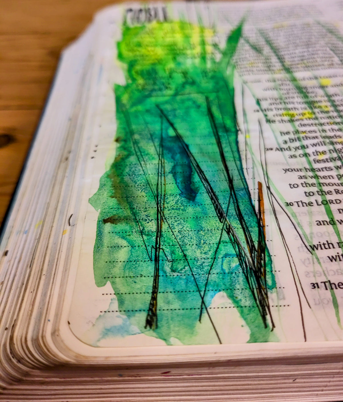 Journalling Bible