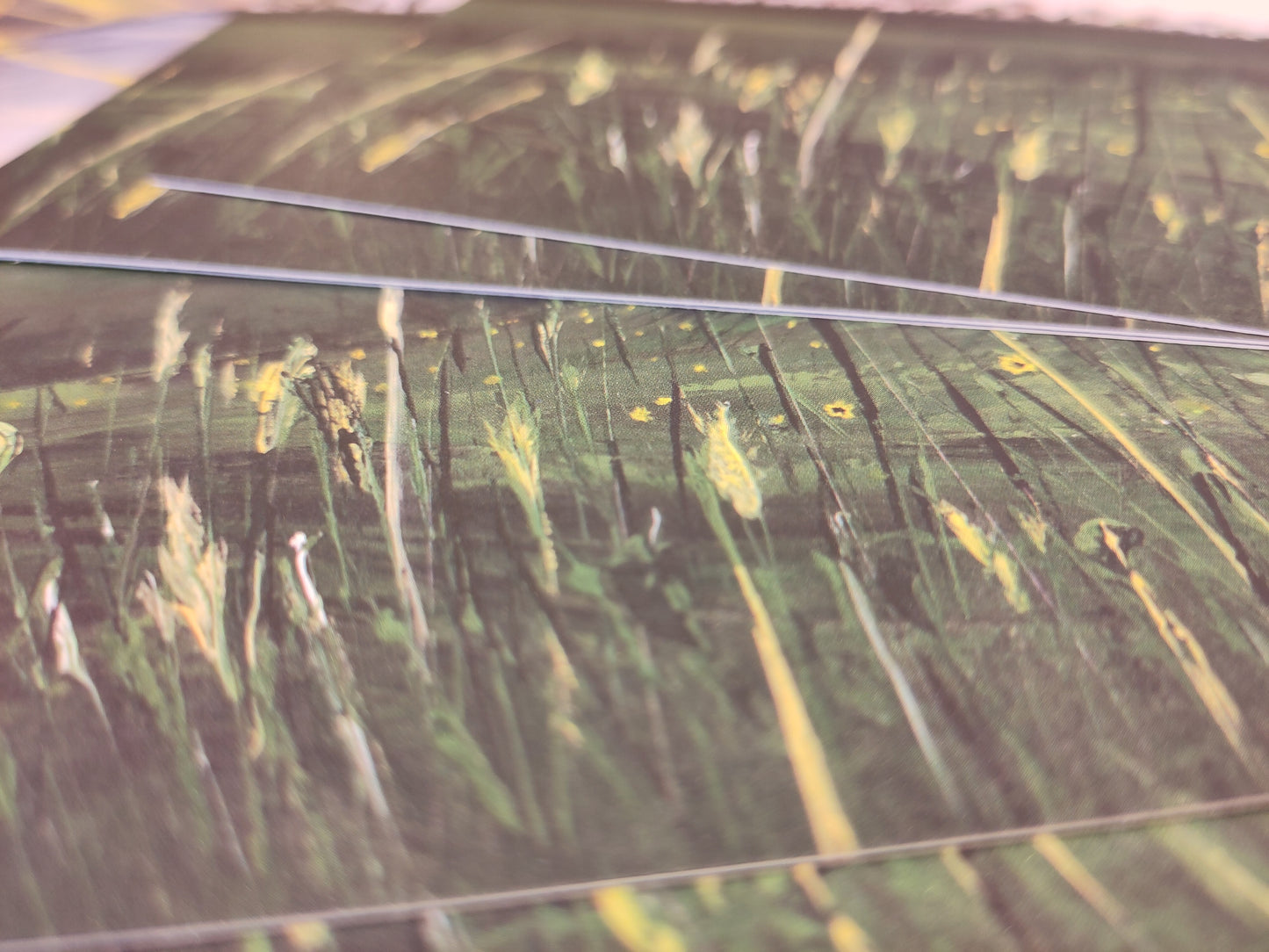 It's A New Day- England, A4 signed print FREE POSTAGE