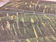 It's A New Day- England, A4 print