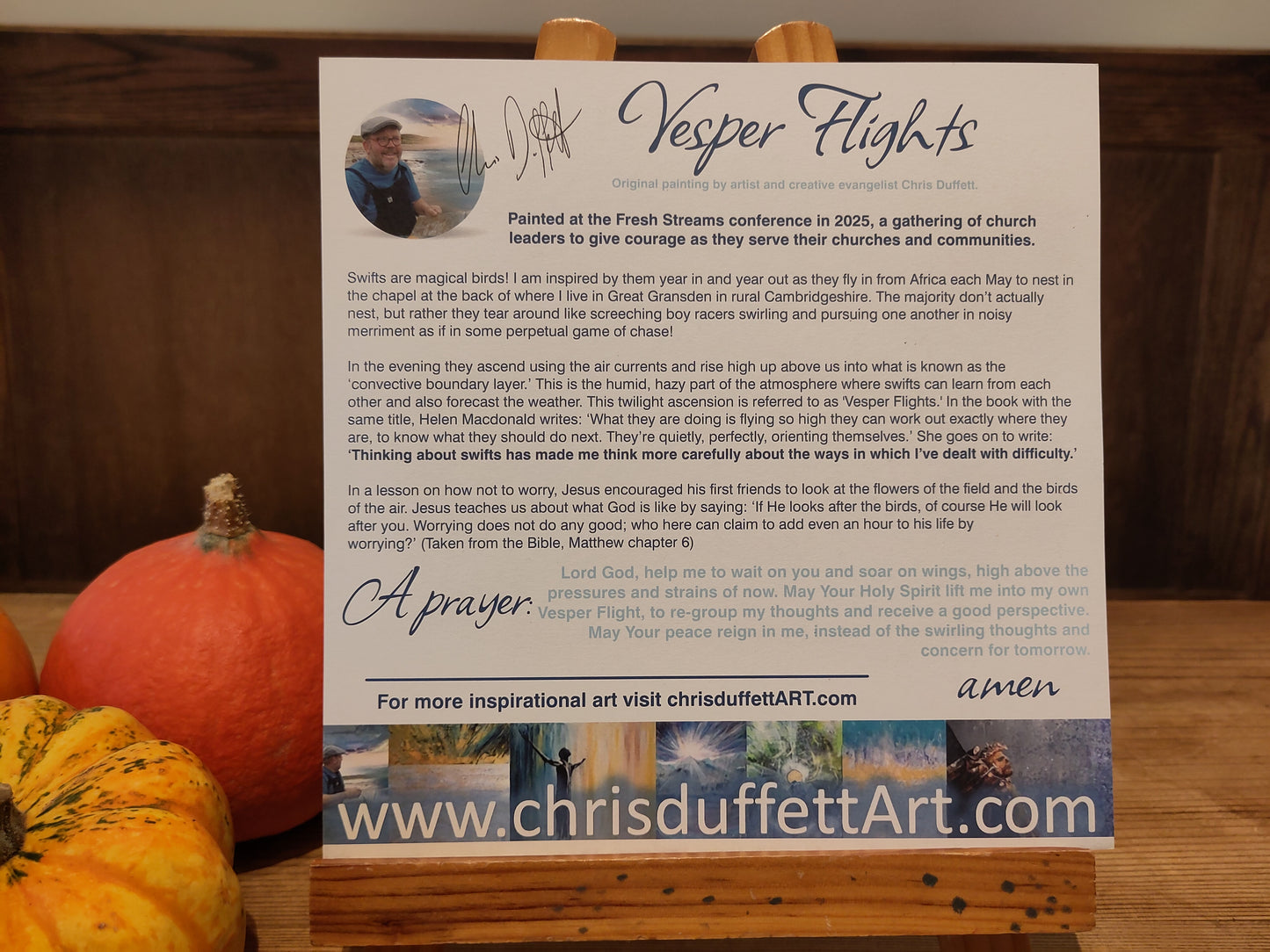 Vesper Flights- The Swifts