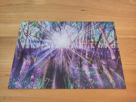 Welcome Bluebells