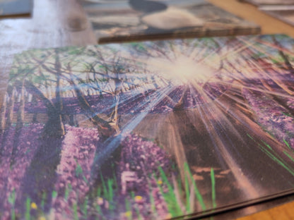 My Tin Of 100 Postcards