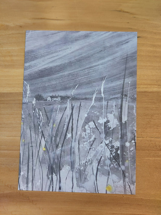 Postcards: Grey Misty Sunday Morning on Enlli