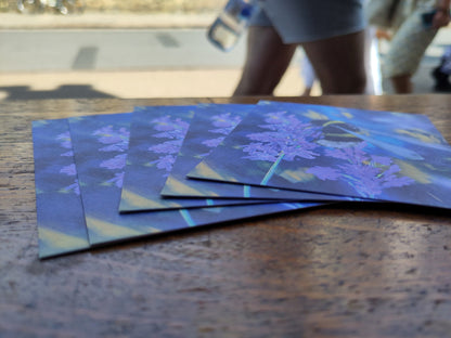 5 FREE postcards worth £5- just pay p&p. Be still busy bee!