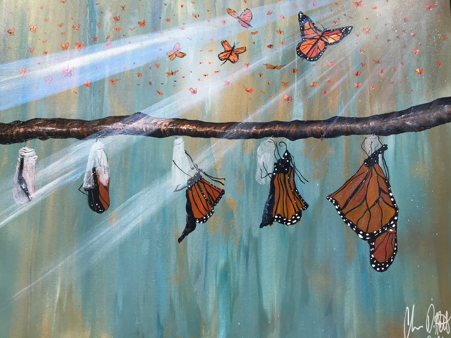 The Chrysalis