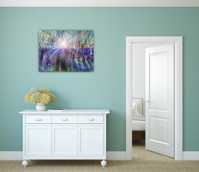 Welcome bluebells- limited edition prints